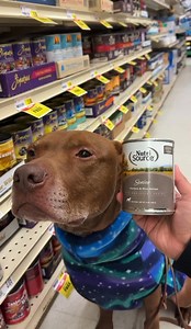 1.1K reactions · 41 shares | Save 10% off your entire purchase with code 893V7 and stock up on your pet's faves! Valid both in-store & online! | Pet Supplies Plus | Facebook