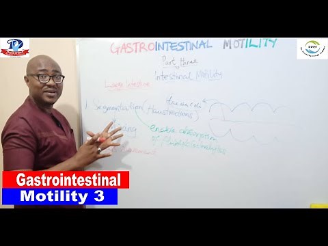 Gastrointestinal Motility – 3 (Intestinal Motility)