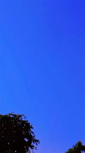 Chander Mahalio (@chndodon)’s videos with original sound - ࿇🅳 🅻🅾🆅🅴 🅿࿇