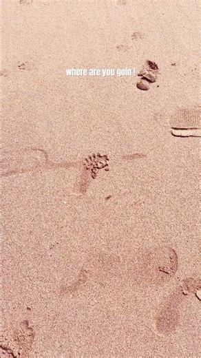 Can you see it. A day in a life of that tiny small beach creature