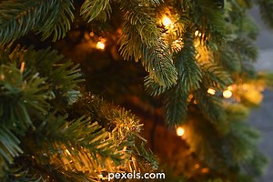 Christmas Tree Lighting Videos, Download The BEST Free 4k Stock Video Footage & Christmas Tree Lighting HD Video Clips