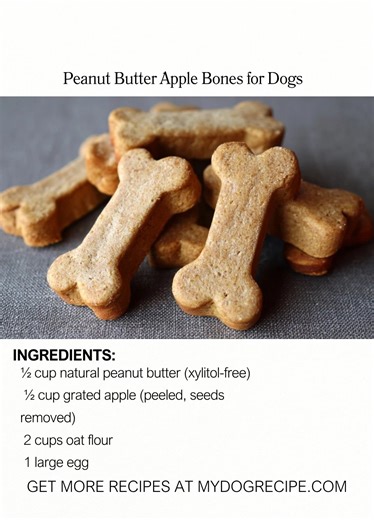 homemade dog recipes treats Full recipe | Homemade Dog Food Recipes