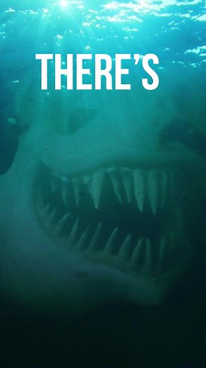 14K views · 413 reactions | Is this sound made by a Sea Monster? #scary #scaryvideos #mysterious #seamonster #sounds #reels | What Lurks Beneath | Facebook