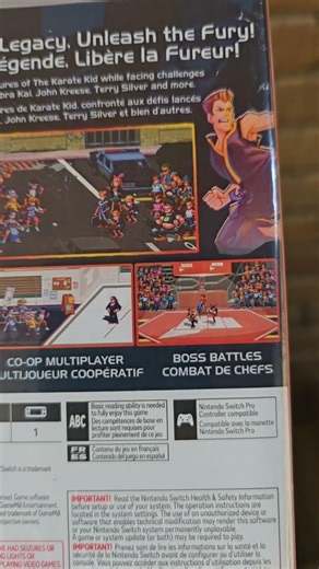THE KARATE KID: STREET RUMBLE (nintendo switch)