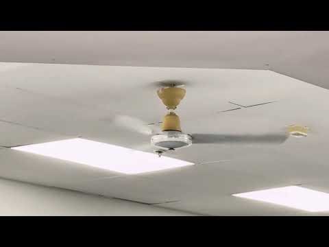 Wattmaster WM1200 120cm ceiling fan running