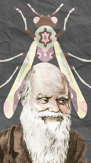 How Darwin Became an Atheist