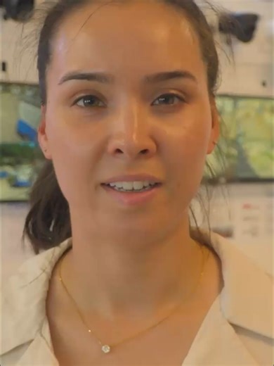 Je zal maar een kras op je auto hebben ? of een werknemer die gestolen heeft ? Of er is net ingebroken.... en stel je zou dan geen alarm of camera systeem hebben ? dan baal je enorm !!!! had ik maar, was er maar... en waarom is er niet eerder gekozen wel een alarm of camera beveiliging systeem te laten installeren ? Is een Camera of Alarm systeem dan overdreven ? of niet... #overdreven #bloopers #auto #funda #woning #verbouwen