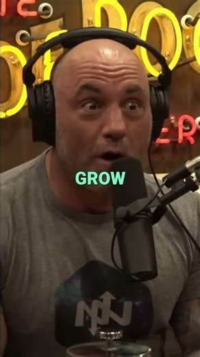 Pinocchio's Paradox: Why His Nose Can't Tell Truth! #shorts