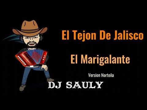 El Tejon De Jalisco - El Marigalante (Version Norteña) KARAOKE