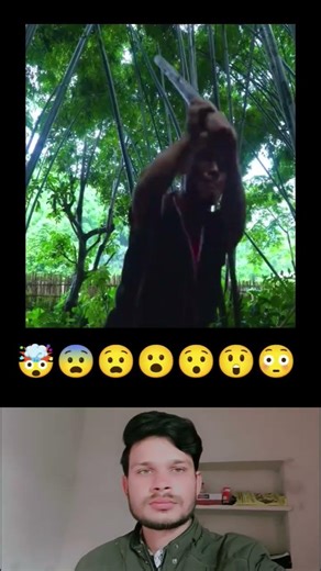 Cooking Giant Python Failed Catching and Cooking Whole Turtle Meat less part 1