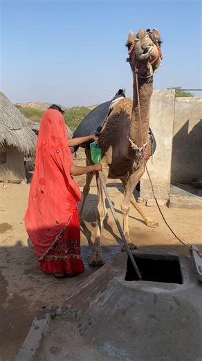 مشهد مدهش للعطش والأمل في الصحراء