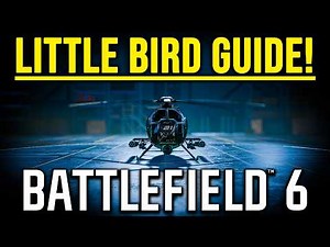 The ULTIMATE Little Bird Guide! (PC AND CONTROLLER) | Best Loadout, Tips and Tricks And More!