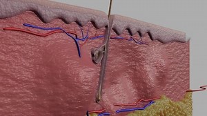 Laser Hair Removal 3d Animation Stock Footage Video (100% Royalty-free) 1082879032 | Shutterstock