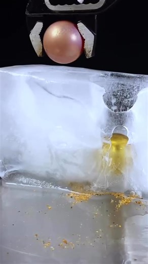 Lets Do Some Experiments #experiment #reelsviralシ | Nature Hights