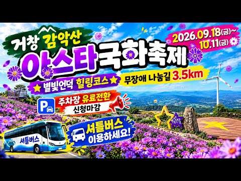💜 Geochang Gamaksan Aster Flower Festival 2026｜A Must-Visit Purple Star-Flower Trip in Autumn 🍂