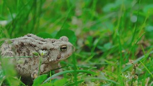With nearly 18,000 acres of outdoor adventure, experience the wonder of the great outdoors at Great Parks of Hamilton County. | Great Parks