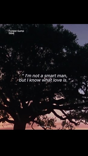 Forrest Gump 1994 Quotes: A Heartwarming Film Recommendation