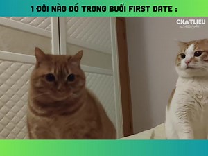 ai dị | Chất liệu bạn gái