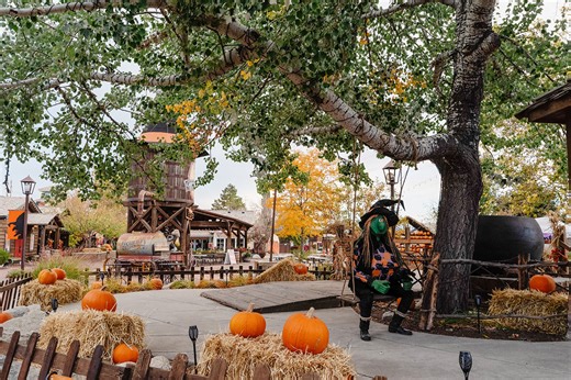 It's time for WitchFest! Here's how to brew up a witches' snack mix - Studio 5