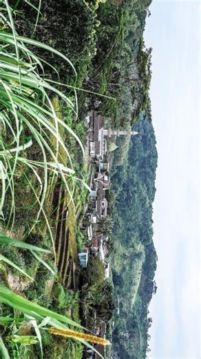 Beautiful Village in East Java Mountain – Stunning Greenery in Sunny Day – Trawas 🇮🇩⛅⛰️🌿🏡✨ #shorts