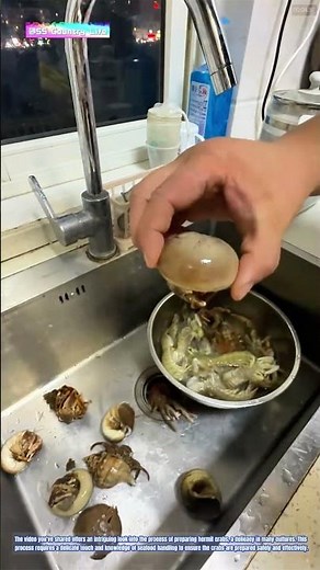 The Art of Preparing Hermit Crabs for Cuisine