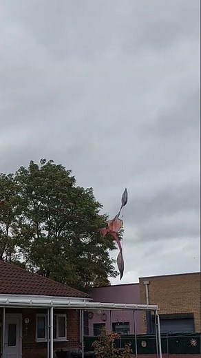 The bird scaring all the fish away! #birds #fishing