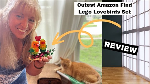 Watch Cutest Amazon Find - Lego Lovebirds for Your Creative Love on Amazon Live