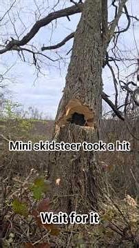 dropping trees. Tree felling compilation. #tree #felling #treeclimbing ##dangerous #chainsaw #work