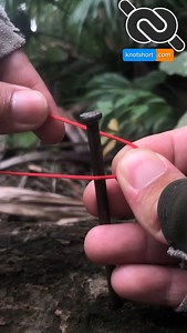 469 reactions · 48 shares | How to tie a String Line Hitch #knotshort | KNOT SHORT | Facebook