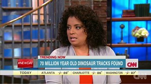 Dinosaur footprints discovered in Alaska