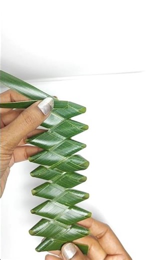 How to made beautiful bracelet from coconut leaf #shorts