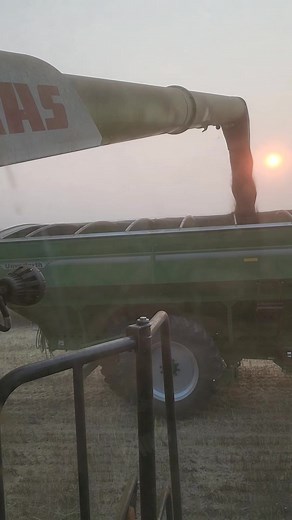 Beckley Harvesting Inc. on Reels