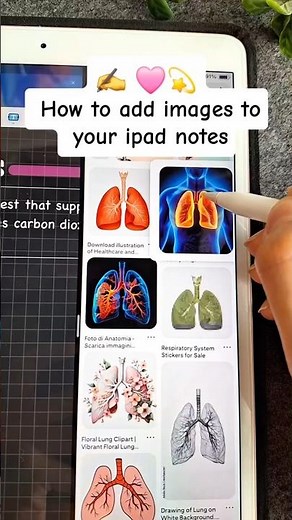 How to add images to your ipad notes