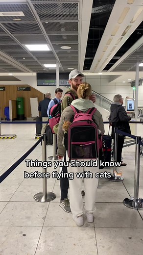 Tips for Flying with Cats: Everything You Should Know