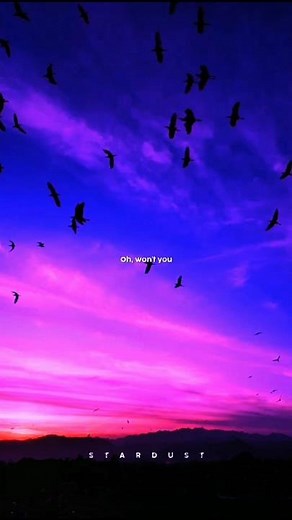 Gigi Perez - Sailor song (lyrics video)