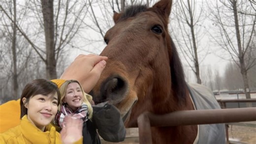 À l’approche de l’année du cheval, un tableau chaleureux d’harmonie homme-cheval s’épanouit. Au centre de thérapie équine H.O.P.E. à Beijing, quatre chevaux doux et de nombreux bénévoles s’unissent, avec l’équitation comme médiateur, pour bâtir un pont de rééducation pour les enfants avec besoins spécifiques. #LeJournal #SpringFestival2026 | CGTN Français