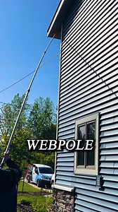 Simple Ways to Keep Spider Webs Away #pestcontrol #hometips | Pest Badger