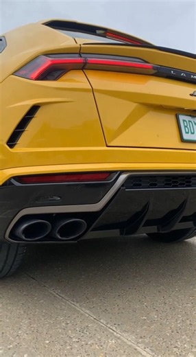 Yellow Lamborghini urus 🔥 #lamborghini #lamborghiniurus #supercar #suv #car #luxurycar #shorts