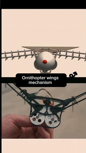 How Does a Grasshopper Fold Its Wings? (CAD Reveal!)