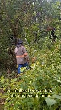 esse cara achou uma construçao primitiva no meio do mato