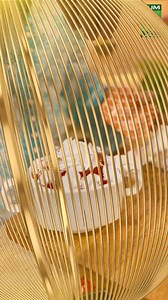 "Craving some delicious and flavorful food? Check out Chef Rida Aftab's recipes on Tarka." . . . . . . . . . #ChefRidaAftab #Tarka #PakistaniFood #DesiFood #FoodieLove #FoodieLife #FoodPassion #FoodGasm #Deliciousness #FoodLovers #FoodIsLife #TasteBudsTingling #SpicyFood #AuthenticFlavors #FlavorfulFood | Masala TV