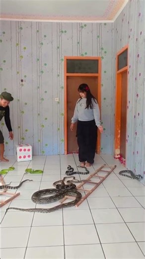 The real snake and ladder #snake #ladder