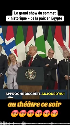 Furet Jaune on Reels