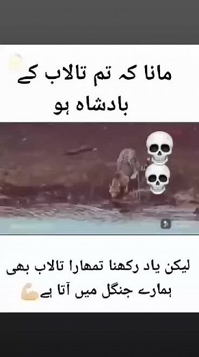 ZAIN MALANG on TikTok