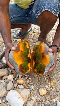 I Found a Rare Amber Stone Hidden in the Earth! | Amazing Amber Discovery