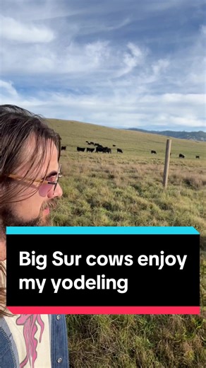 These Big Sur cows are built different. Or maybe they’re happier because they get to breath the fresh Pacific Ocean air and soak in the sun all day. Either way, I think they enjoyed my yodeling. #yodel #yodeling #cows #singing #bigsur