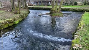 Rhythms of Nature: Mesmerizing River Flow in Untouched Wilderness