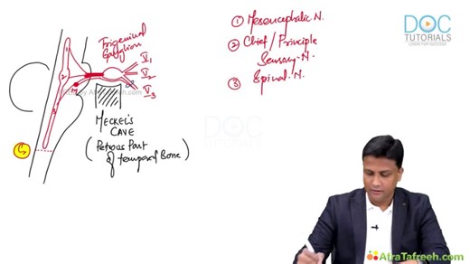 5._Cranial_Nerve_V_Part_1_atf.mp4 - Shared via TeraBox