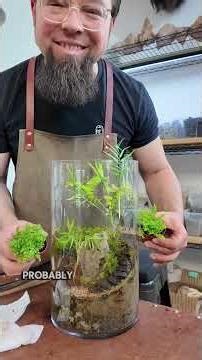 Dried Terrarium, Part 1, Terrarium Troubles.