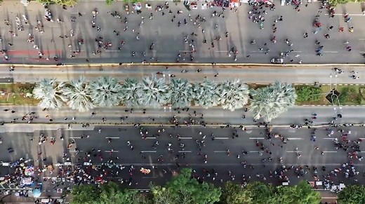 Cidades Sustentáveis - RTP Ensina